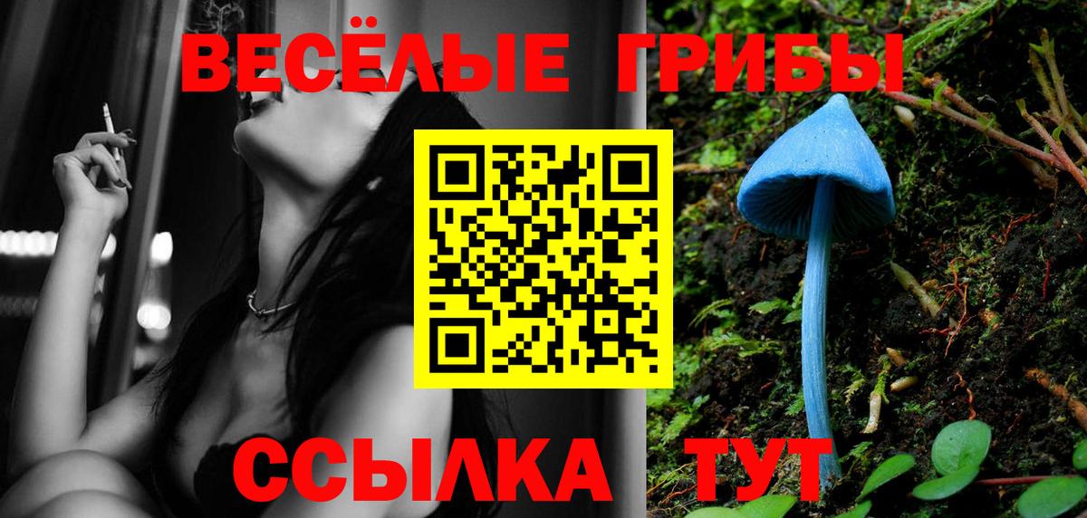 Псилоцибиновые грибы Magic Shrooms  Вход с VPN  Сыктывкар 